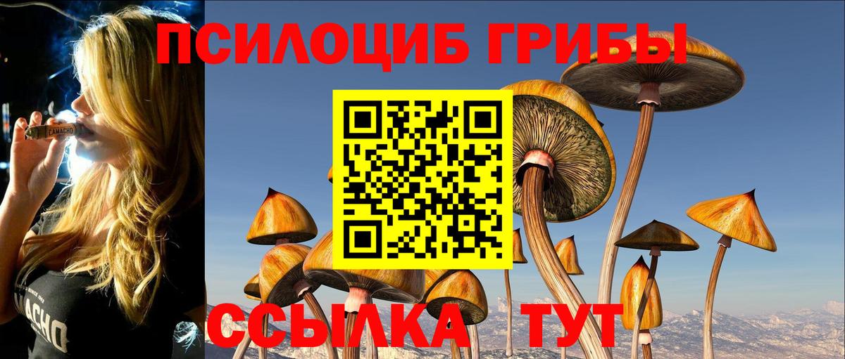 Псилоцибиновые грибы GOLDEN TEACHER  Галлюциногенные грибы Psilocybe  Алушта  Вход с VPN 